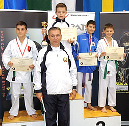 Международный турнир по каратэ WKF "VIENA OPEN 2014" (Вена, Австрия, 4 октября 2014 г.)