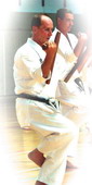 Международный Гассюкю по Рюкю Кобудо Тэссинкан (Нордхаузен, Германия, 25-30 июля 2012) Сергей  Мирутенко