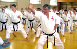 Международный семинар по фудокан-шотокан каратэ-до под руководством Илии Йорги (10 дан, Сербия) (17-19 апреля 2009г., Минск)