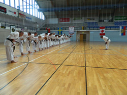      2013 (   )