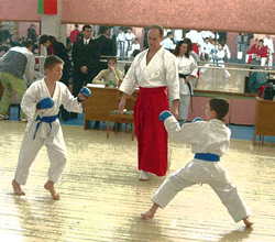 ���������� ������������ ��������� ������������� ���� ������������ ������ �������� �� �������������  �������-������� �������� (������� 6-17 ���). ����� 2005�.