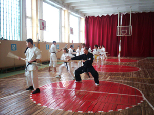 ������-������������ � �������������� ������� �� ���� ������ ��������� ����, 17 ������ 2010�.